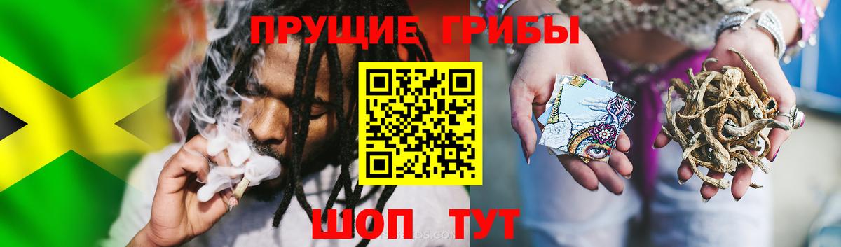 Урус-Мартан  Галлюциногенные грибы Cubensis  Вход с VPN  Псилоцибиновые грибы Psilocybine cubensis 